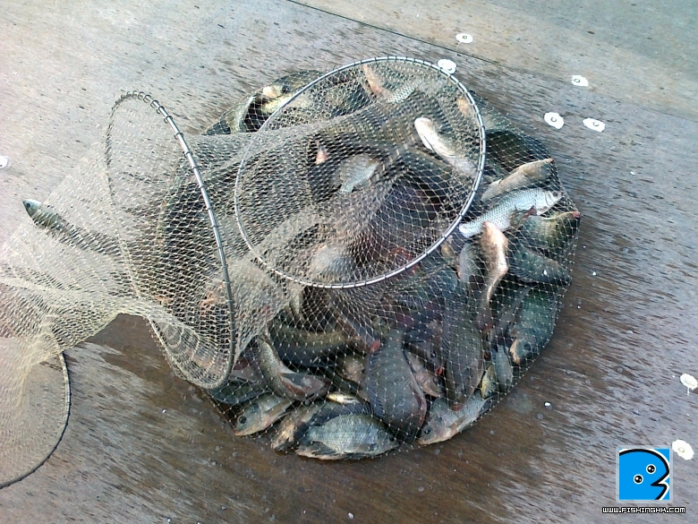 08092010025.jpg
