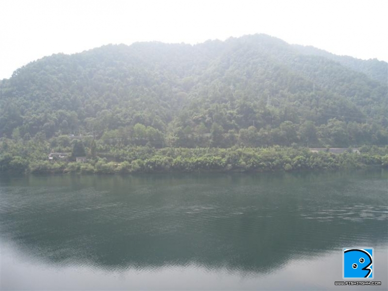 IMG_8210.JPG