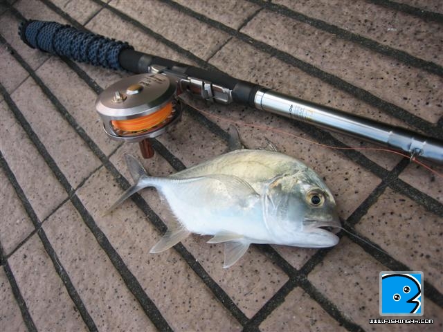 IMG_6340 (Small).JPG