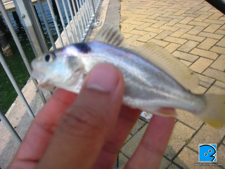 IMG_0036.JPG