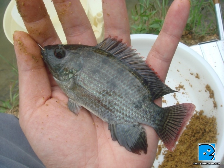 DSC07873.JPG