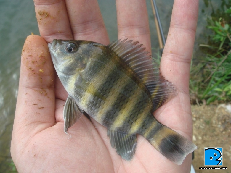 DSC07871.JPG