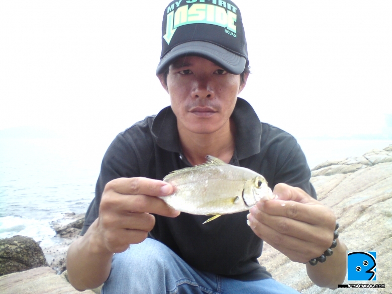 DSC00909.JPG