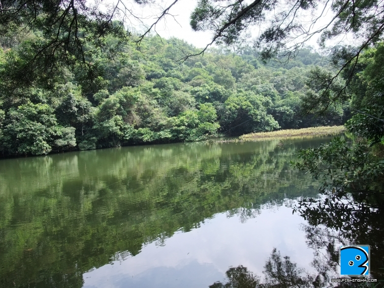 DSCF0970.JPG