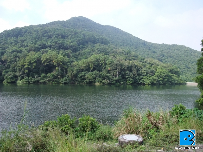 DSCF0969.JPG