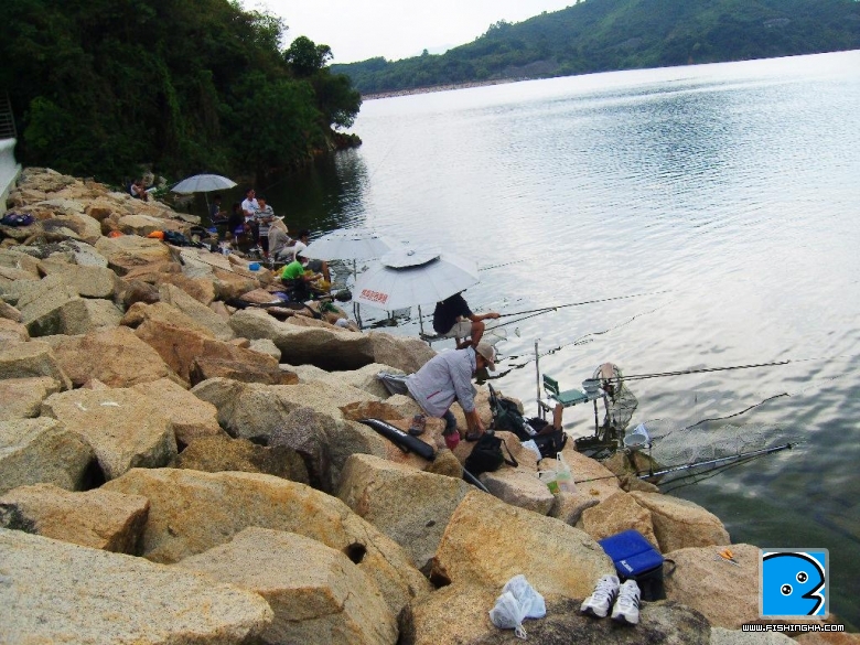 SN200188.JPG