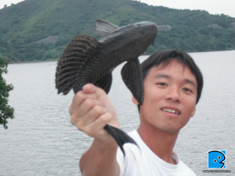 照片 144.jpg
