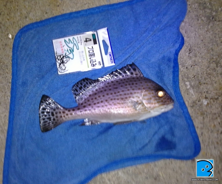 20101110081.jpg