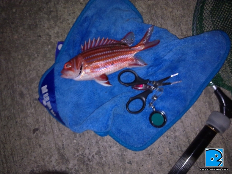 20101111089.jpg