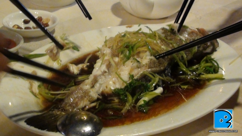 DSC00573.JPG