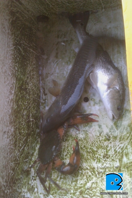 IMAG0034.jpg
