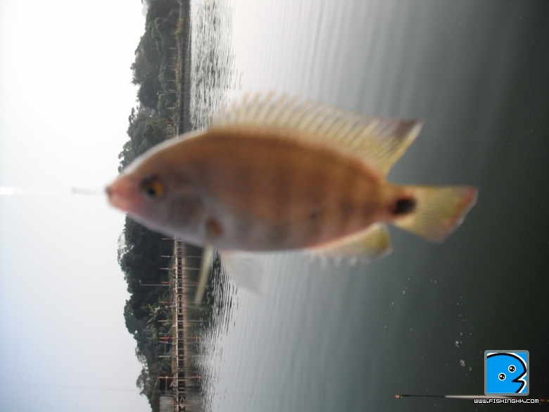 照片 625.jpg