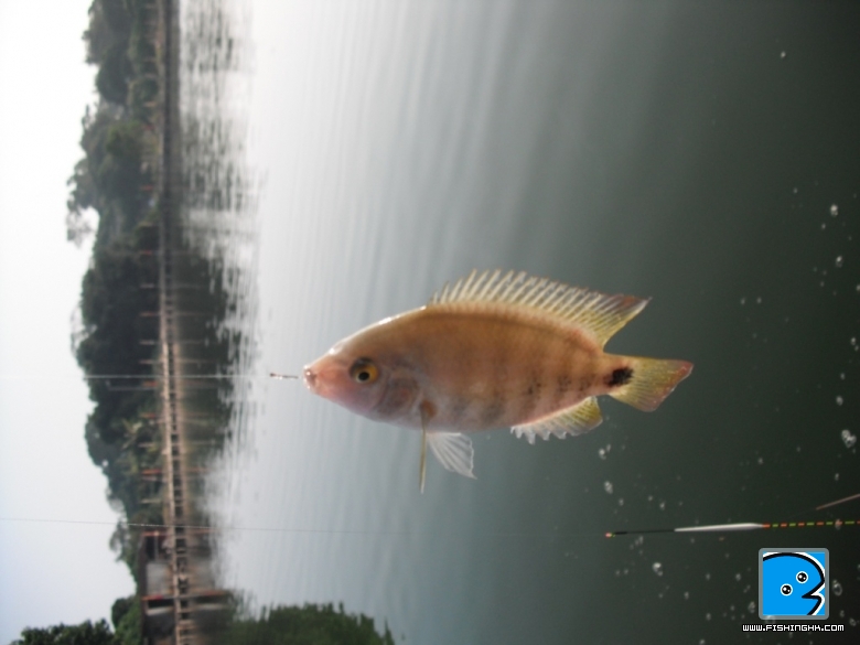 照片 626.jpg