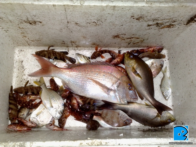 20112010509.jpg