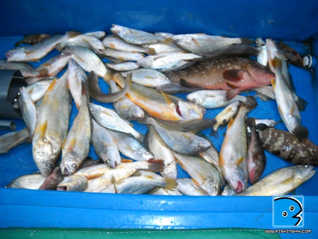 20101130_62b61802905b1c10e92bbOHA0XSvTnow.jpg