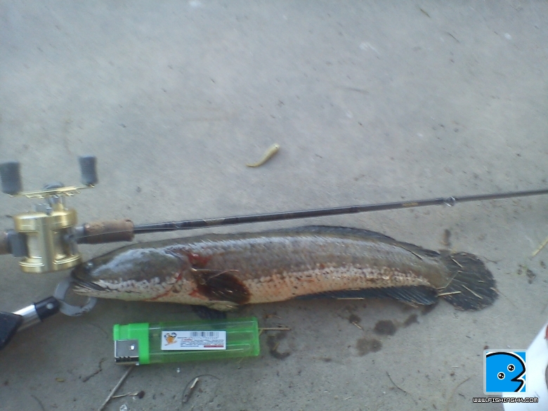 DSC00080.jpg