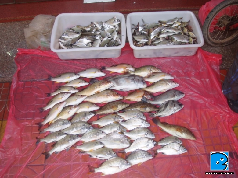 20101231_7f64b9efcc1a0a9b1a6eCmG90TPxMdYg.jpg
