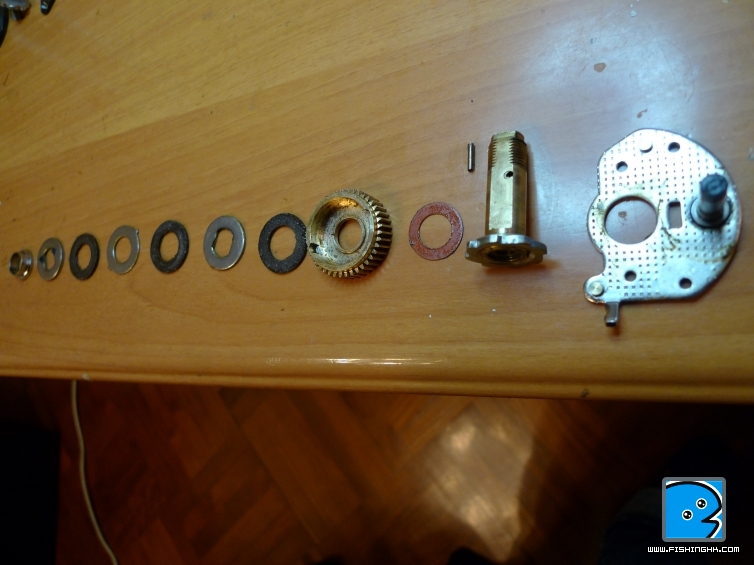 P1060217.JPG