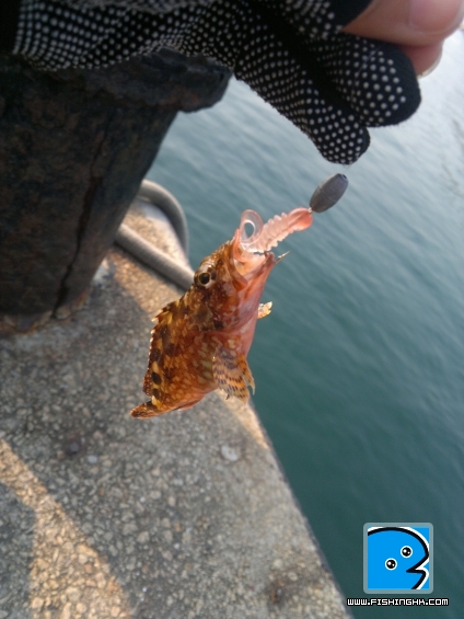 201103131759.jpg