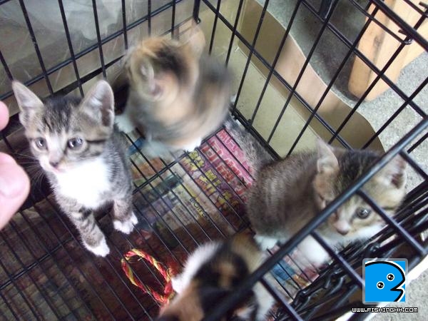 DSCF3078.JPG