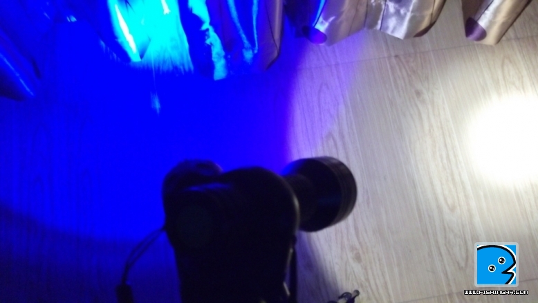 照片 595.jpg
