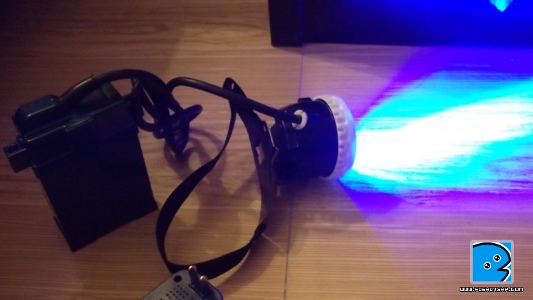 照片 609.jpg