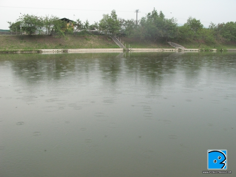 IMG_5795.jpg