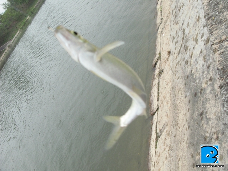 IMG_5796.jpg