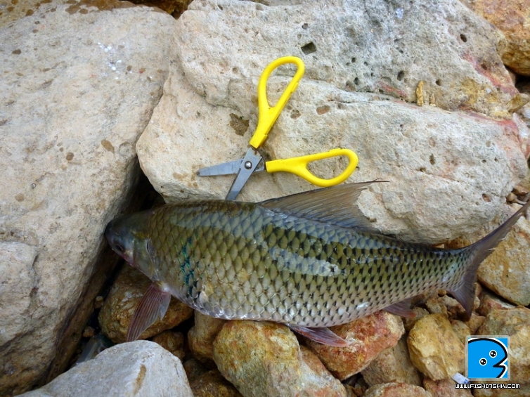 P1080635.JPG