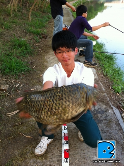 照片 010.jpg