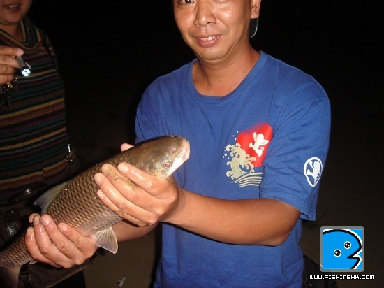 DSC03256.JPG