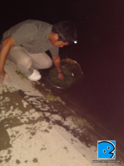 20110403580.JPG
