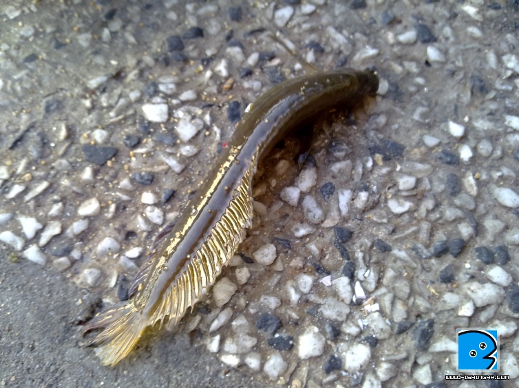 20110401072.jpg