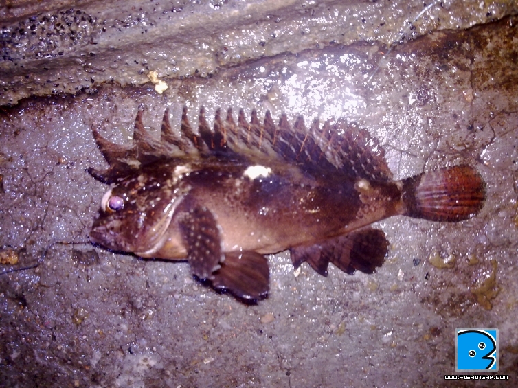 20110403087.jpg
