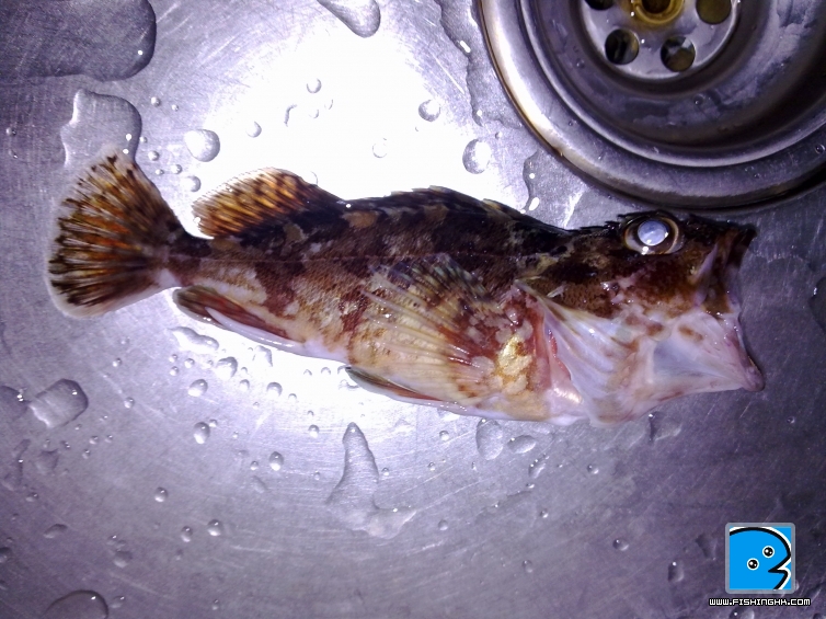 20110403092.jpg