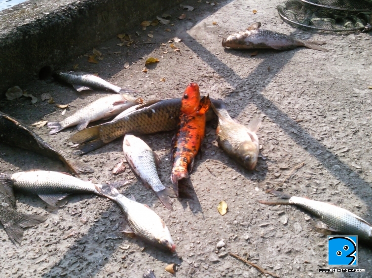 相片0548.jpg