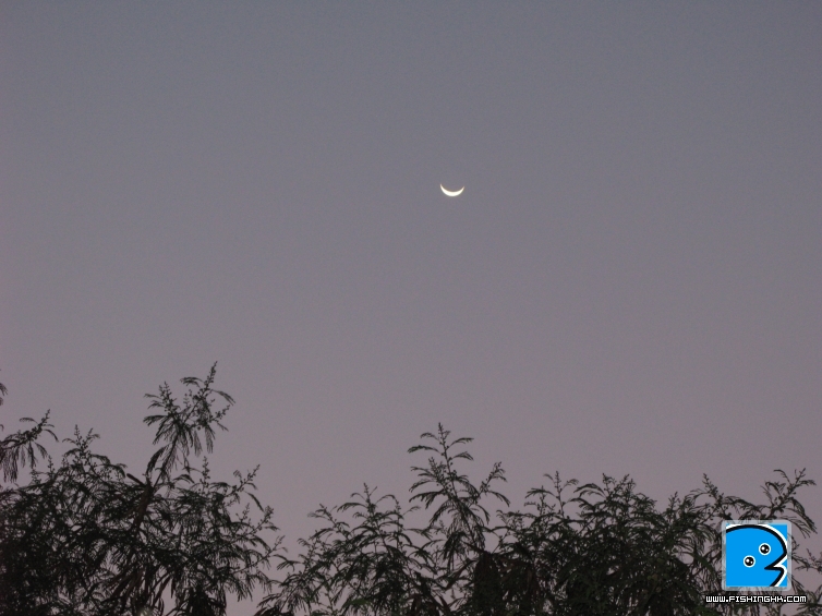 IMG_5897.jpg