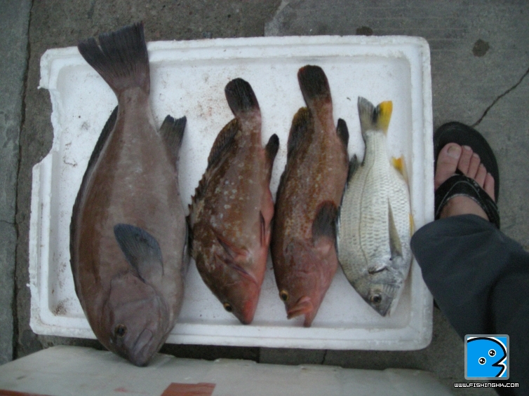 DSCN6443.JPG