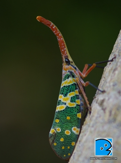 K_5_7442.jpg