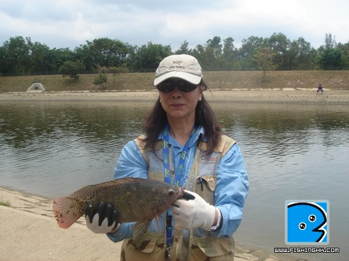 20110417_e0d63fc96c63e555e7fbnfpPuCKBW1Wx.jpg