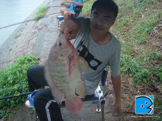 20110417_a4e6c716b168ee73270dr5YmfiyleLhS.jpg