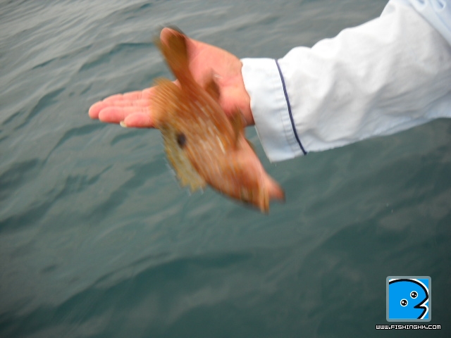 20110419_a419b8eb963892514724nFv1iHwRhQC2.jpg