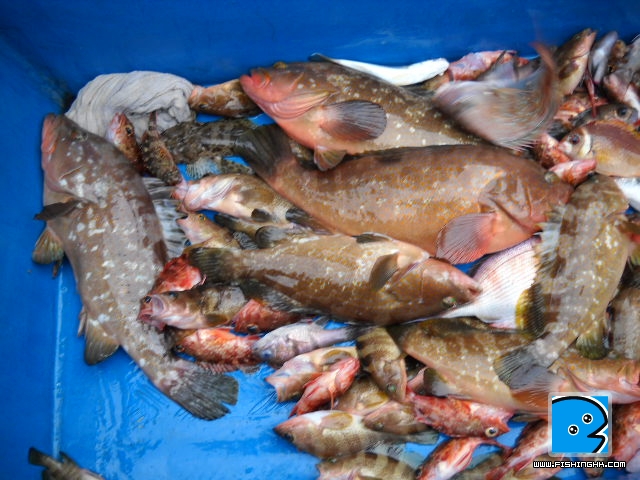 20110419_c7fdff89246d6e028185IuN5AqdYqum1.jpg