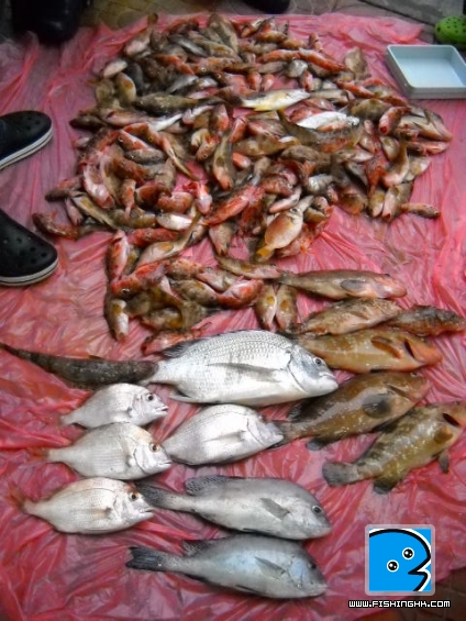 20110419_3b304c053c72c82bacf9EYfuZCfAvFwb.jpg