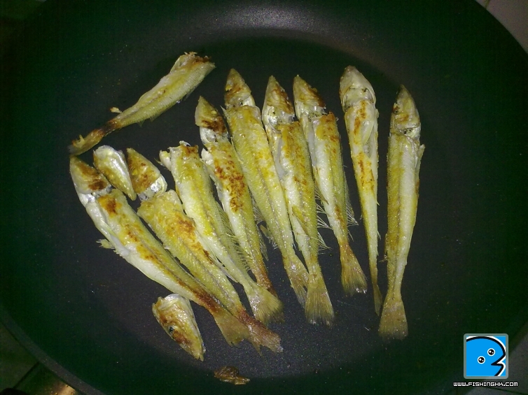 20110423946.jpg