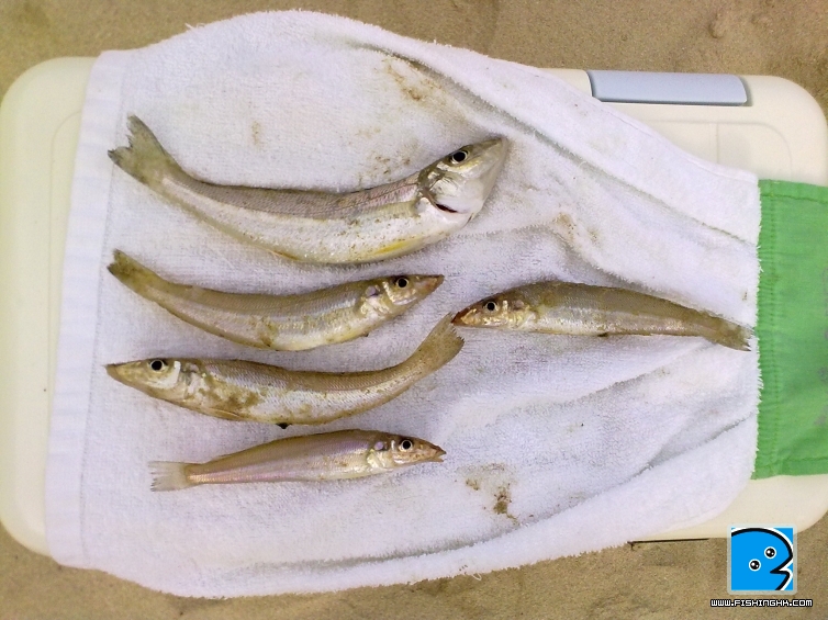 20110502955.jpg