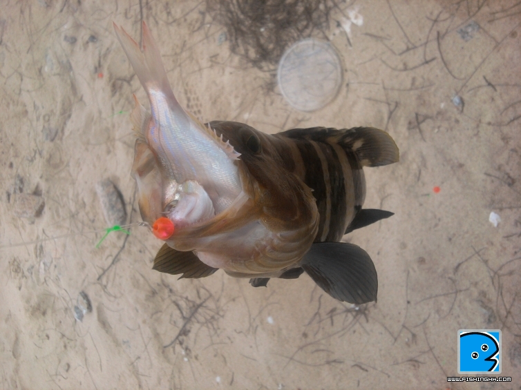 2011-05-05 12.13.42.jpg