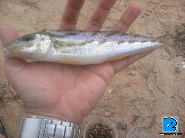 2011-05-05 10.54.30.jpg