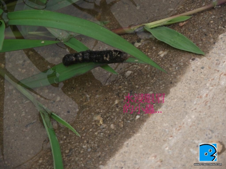 照片 036.jpg