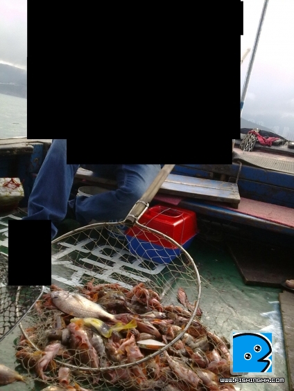 20110507825.JPG